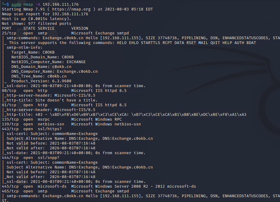 image-20210803172933492