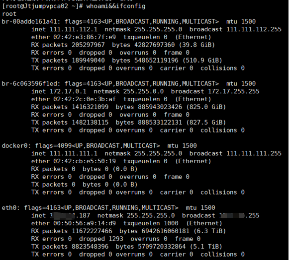 image-20210803163613495